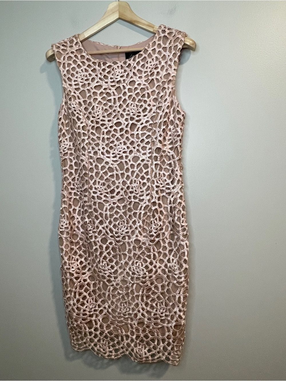 Frank Lyman Design Pale Blush Crochet Lace Sheath Dress